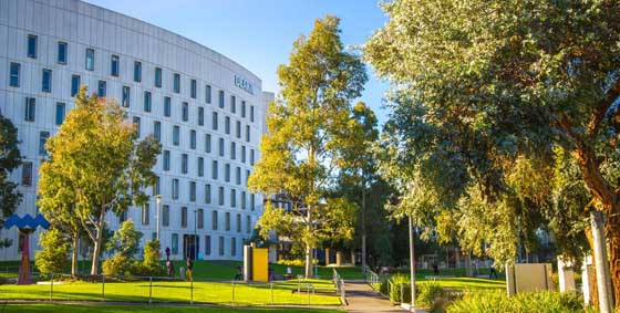 迪肯大学排名跃升，首次跻身国际大学排名前300——留学信息咨询指南